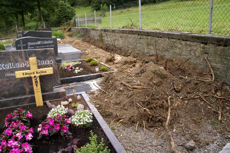 Unser Friedhof wird verschoenert 2008 Bild Nr.031